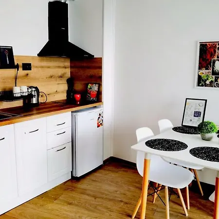 F 207 Del Sol - просторно студио с кухня и паркомясто * 프리모르스코