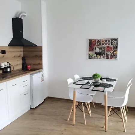 F 207 Del Sol - просторно студио с кухня и паркомясто 프리모르스코