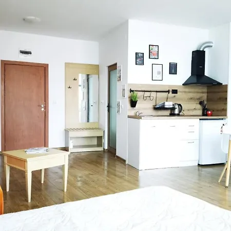 F 207 Del Sol - просторно студио с кухня и паркомясто * Приморско