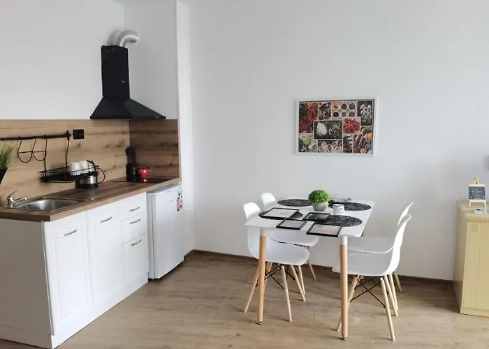 F 207 Del Sol - просторно студио с кухня Primorsko