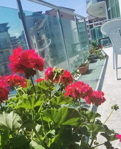 F 207 Del Sol - просторно студио с кухня *